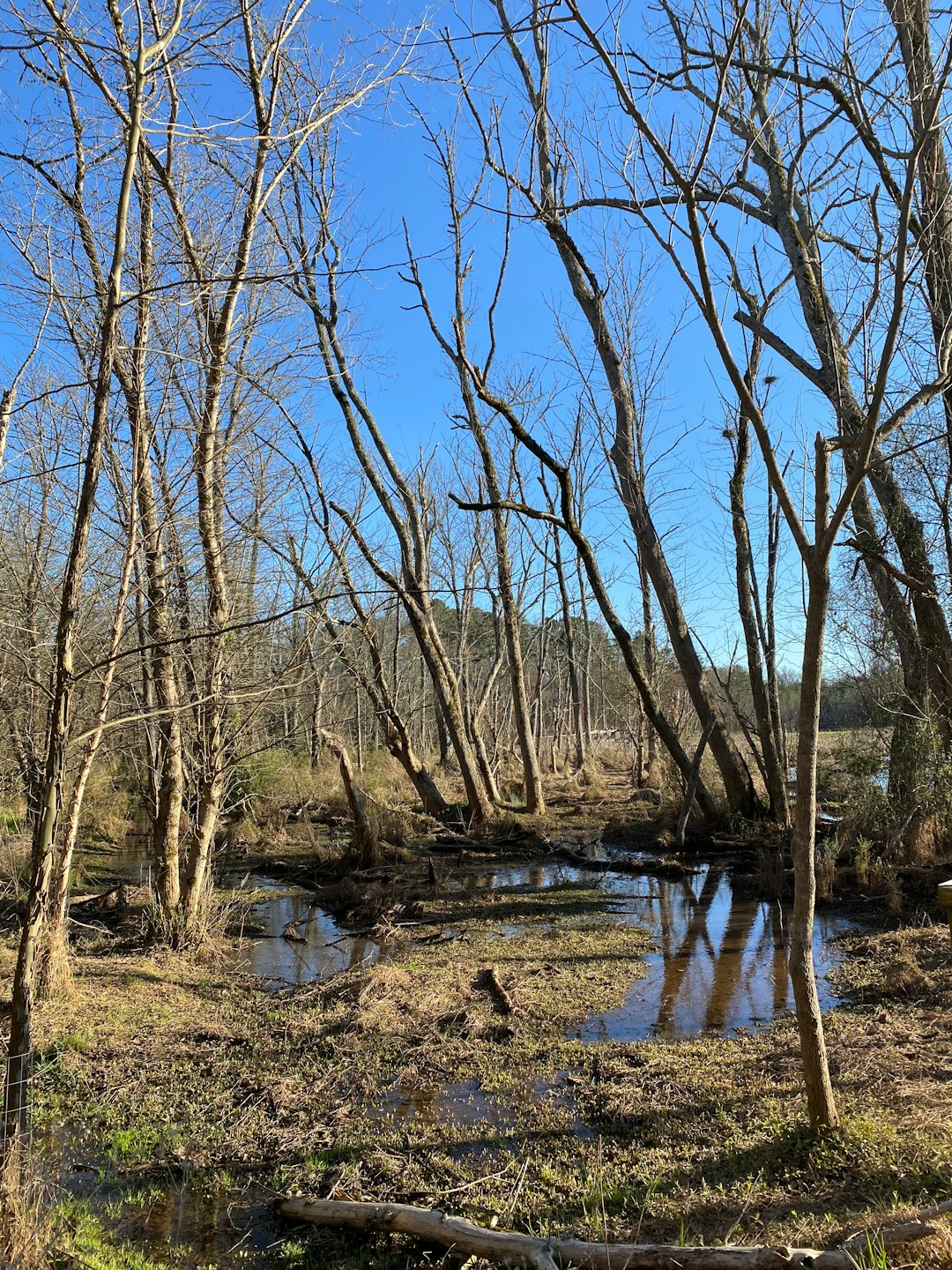 Checking out New York's Diverse Landscape