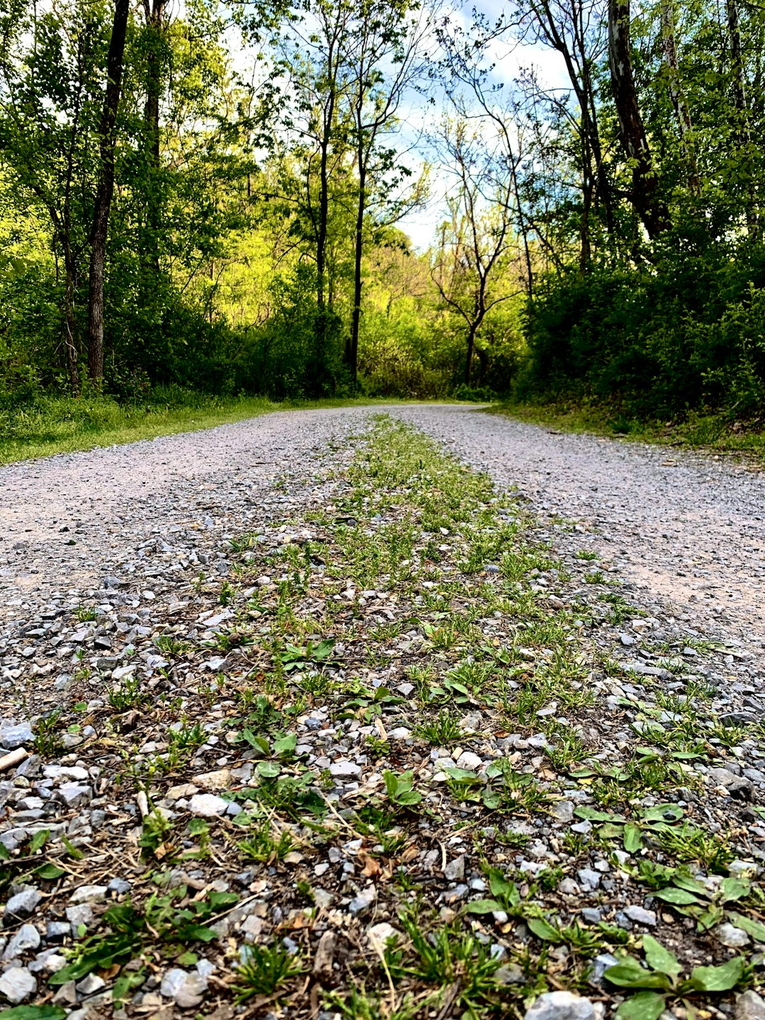 Checking out New York's Diverse Landscape