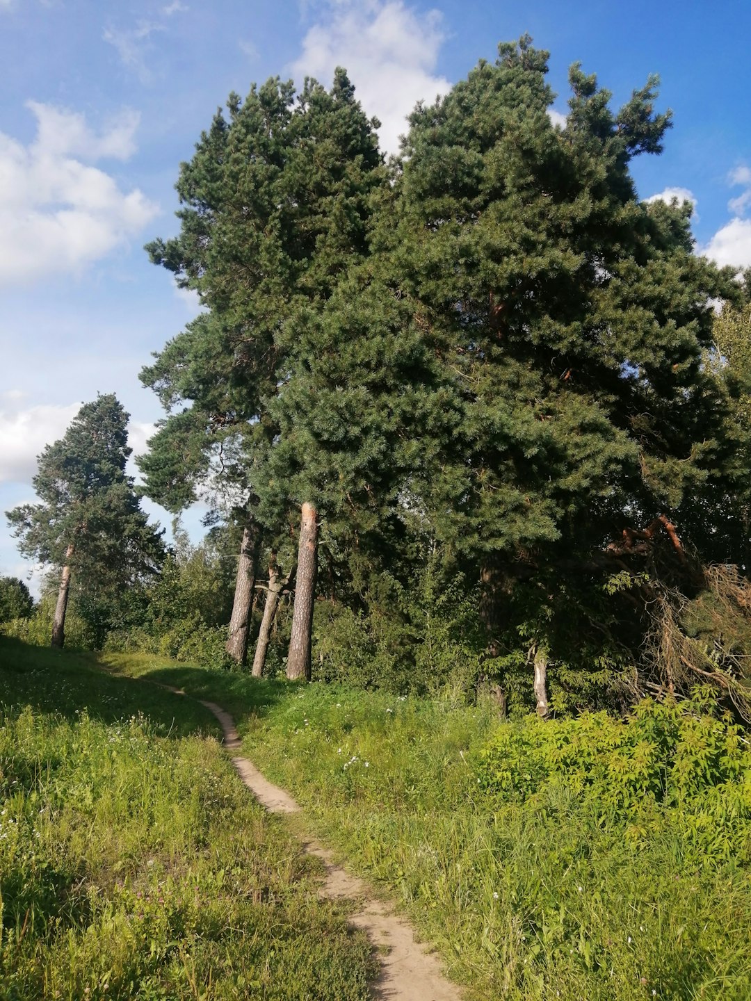 Preparing Your Land offer for sale