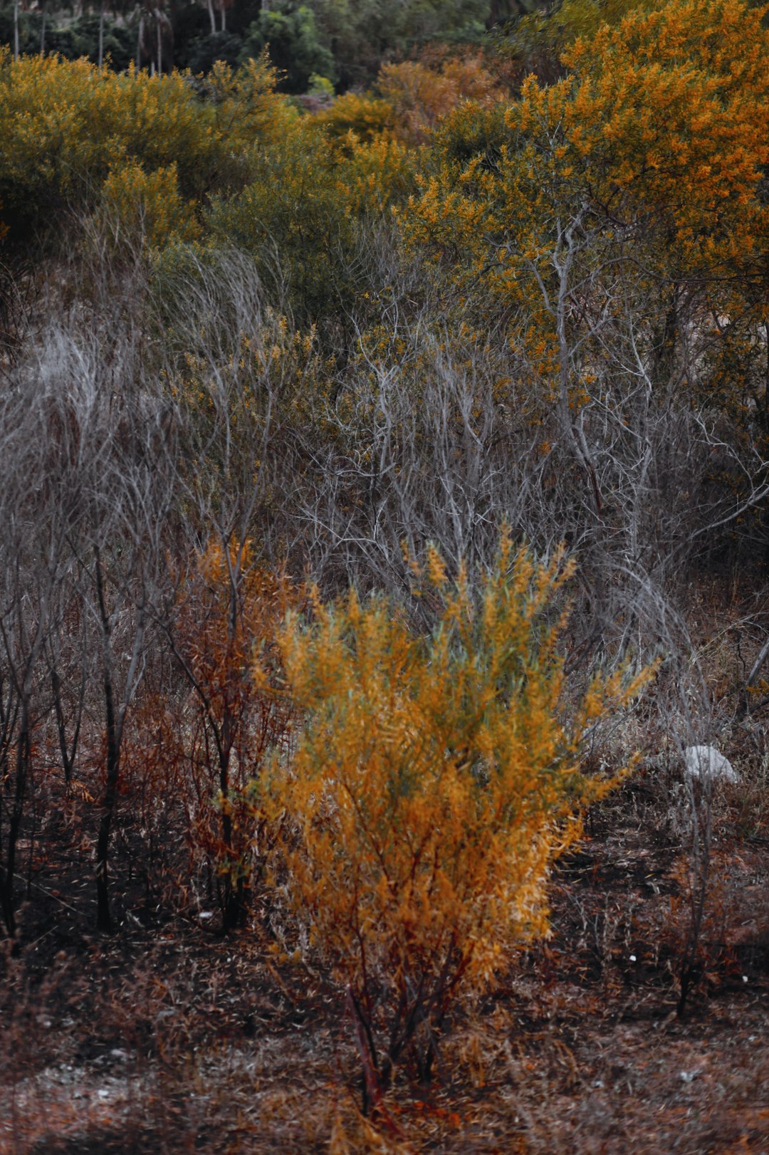 Preparing Your Land up for sale