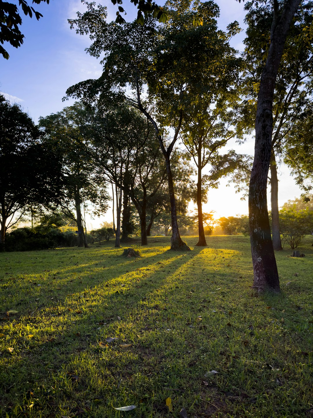 Preparing Your Land to buy