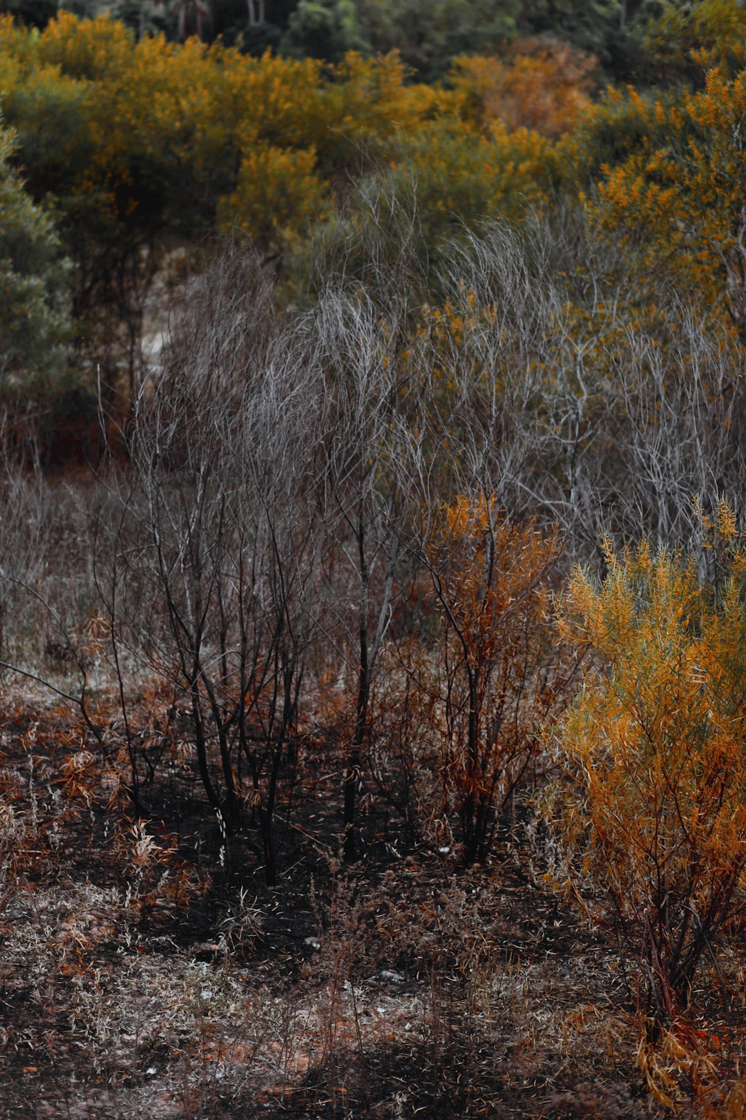 Advertising And Marketing Your Untaught Land