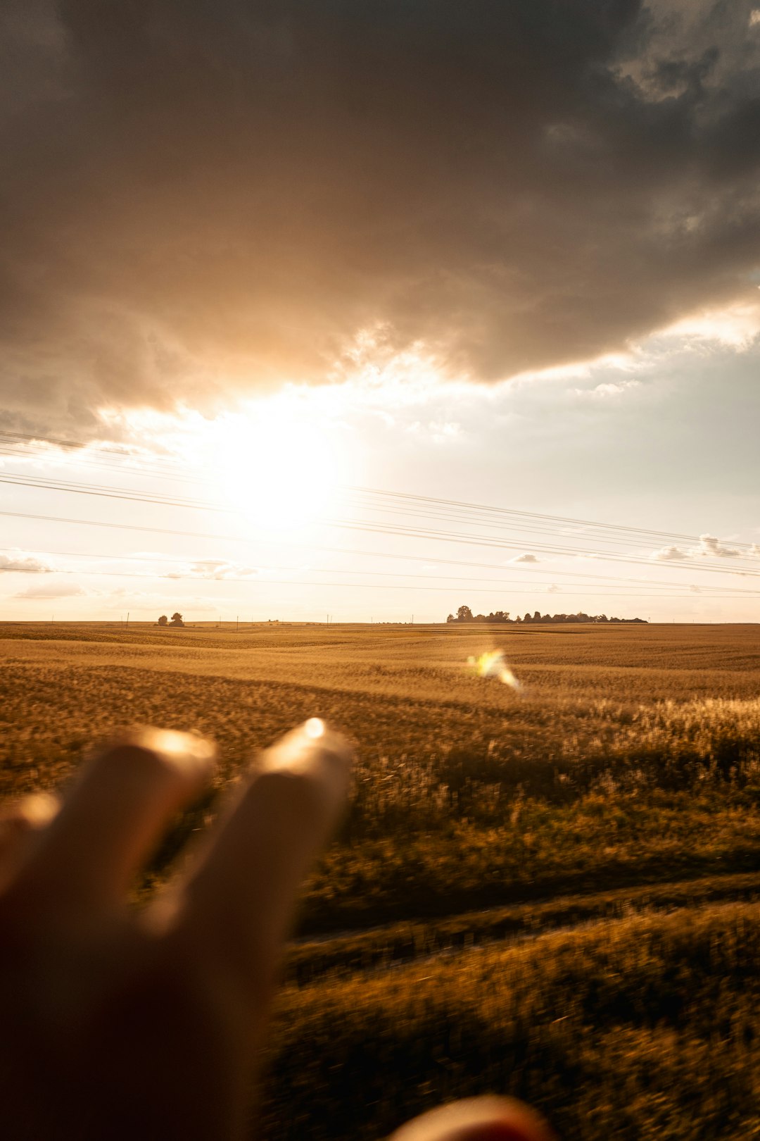 Marketing Your Primitive Land