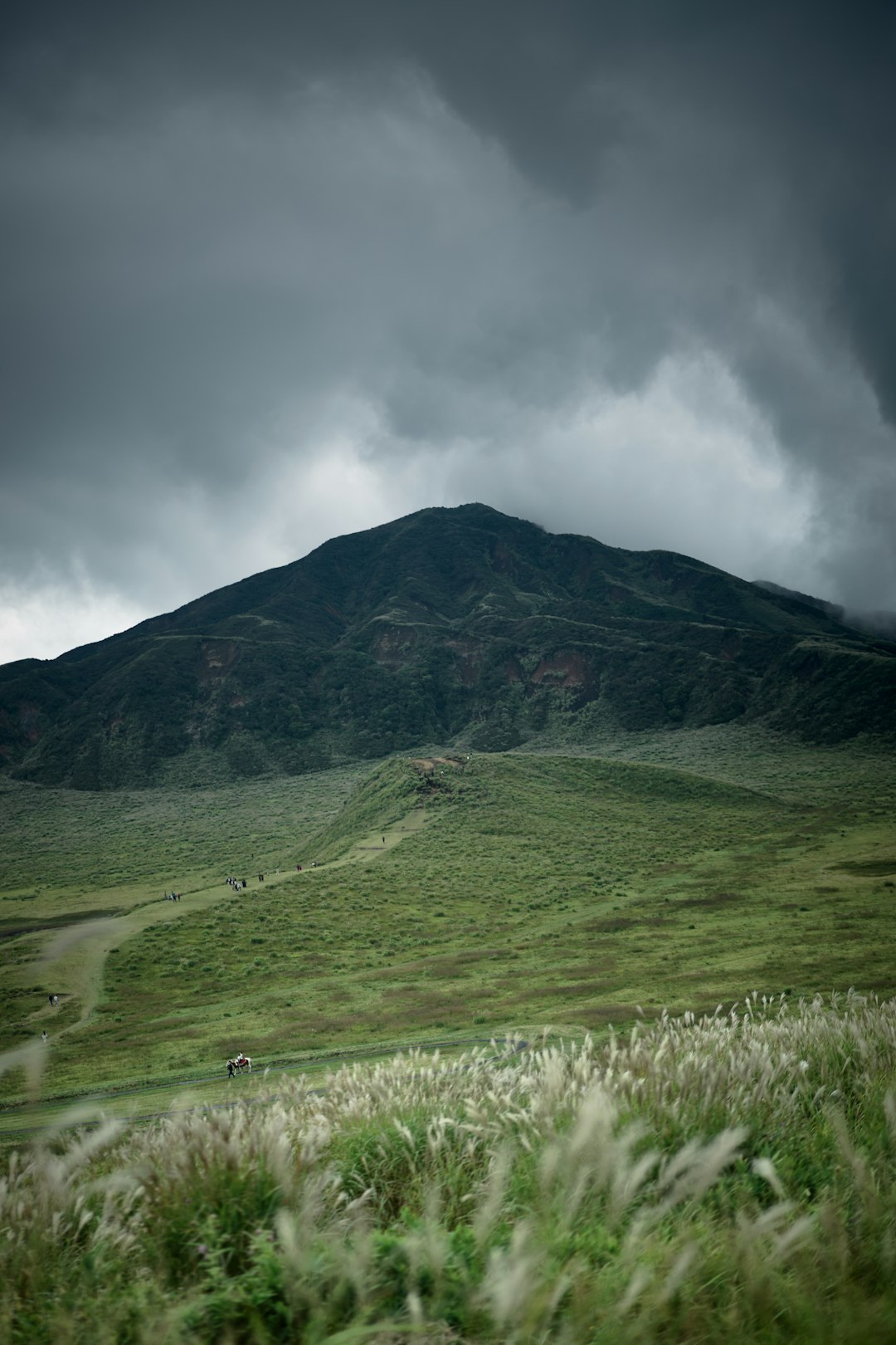Advertising And Marketing Your Undeveloped Land