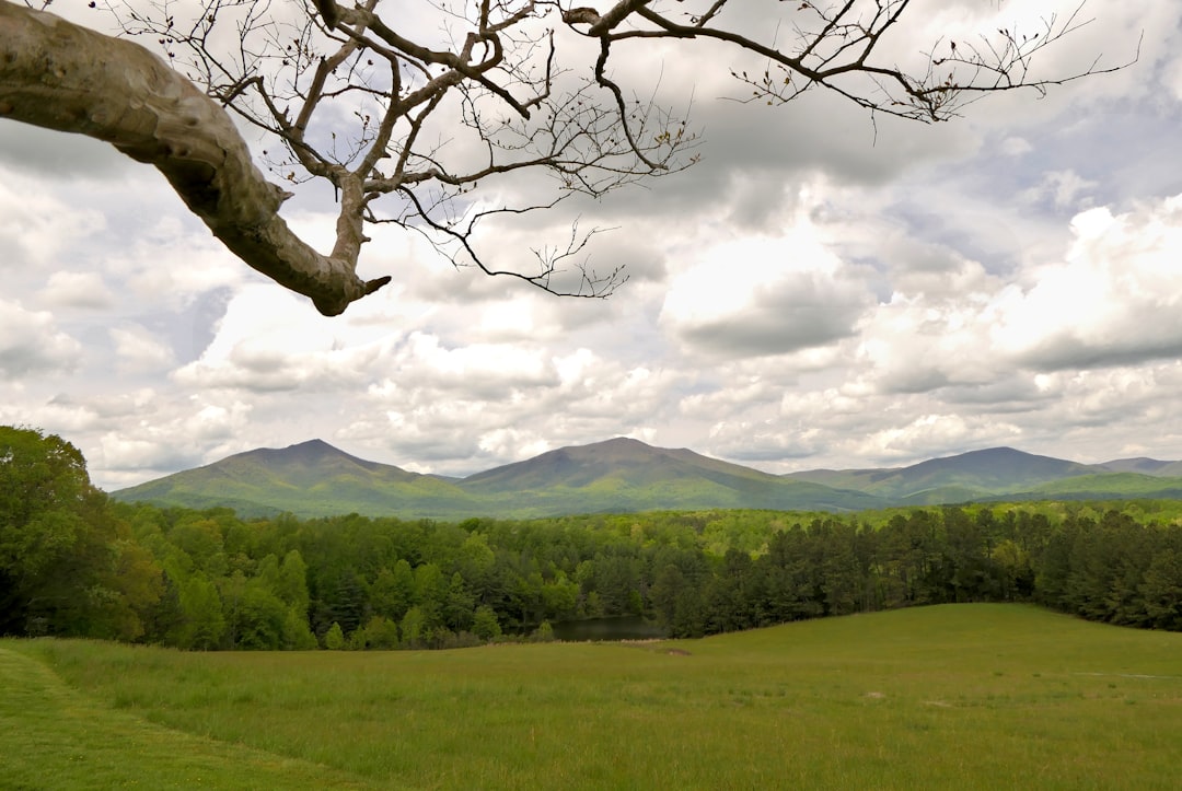 Farmland sales