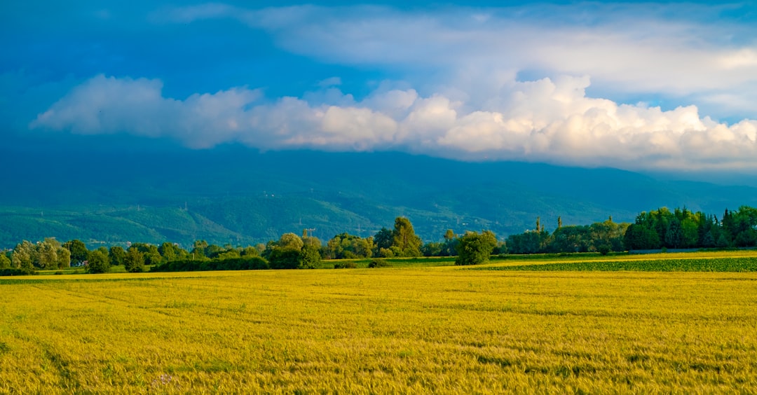 Sell Kentucky land for cash