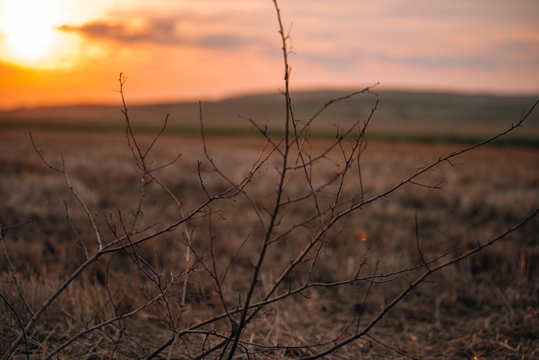 Closing process for cash sales of Hawaiian land