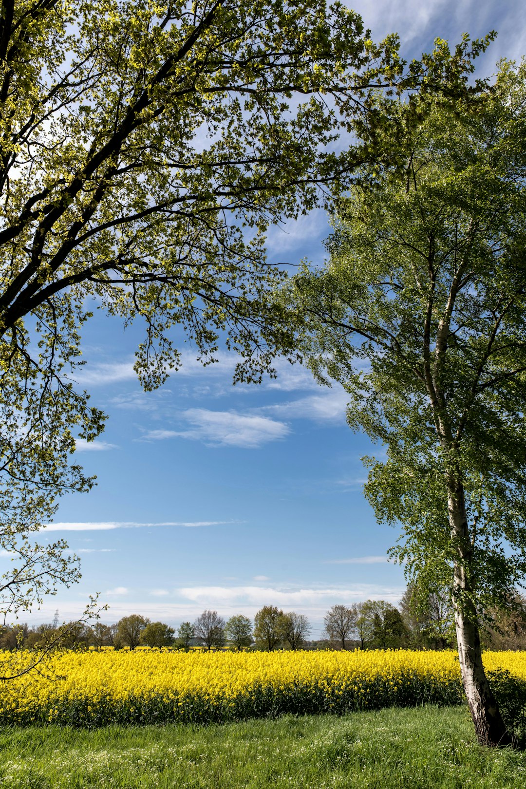 Preparing Your Land for Sale: Tips for Hawaiian Property Owners