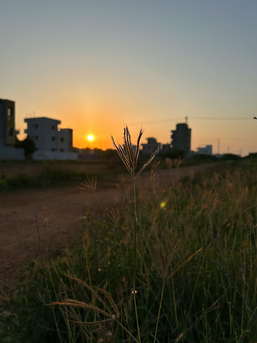 Preparing Your Land available: Tips for Hawaiian Homeowner