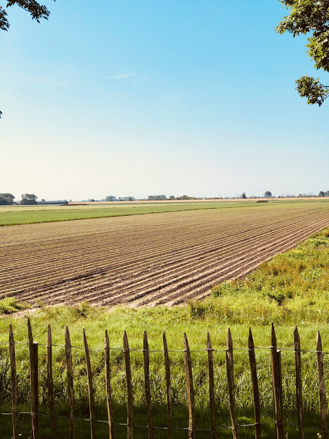 Closing the Offer: Last Steps for Marketing Your Illinois Land for Cash Money