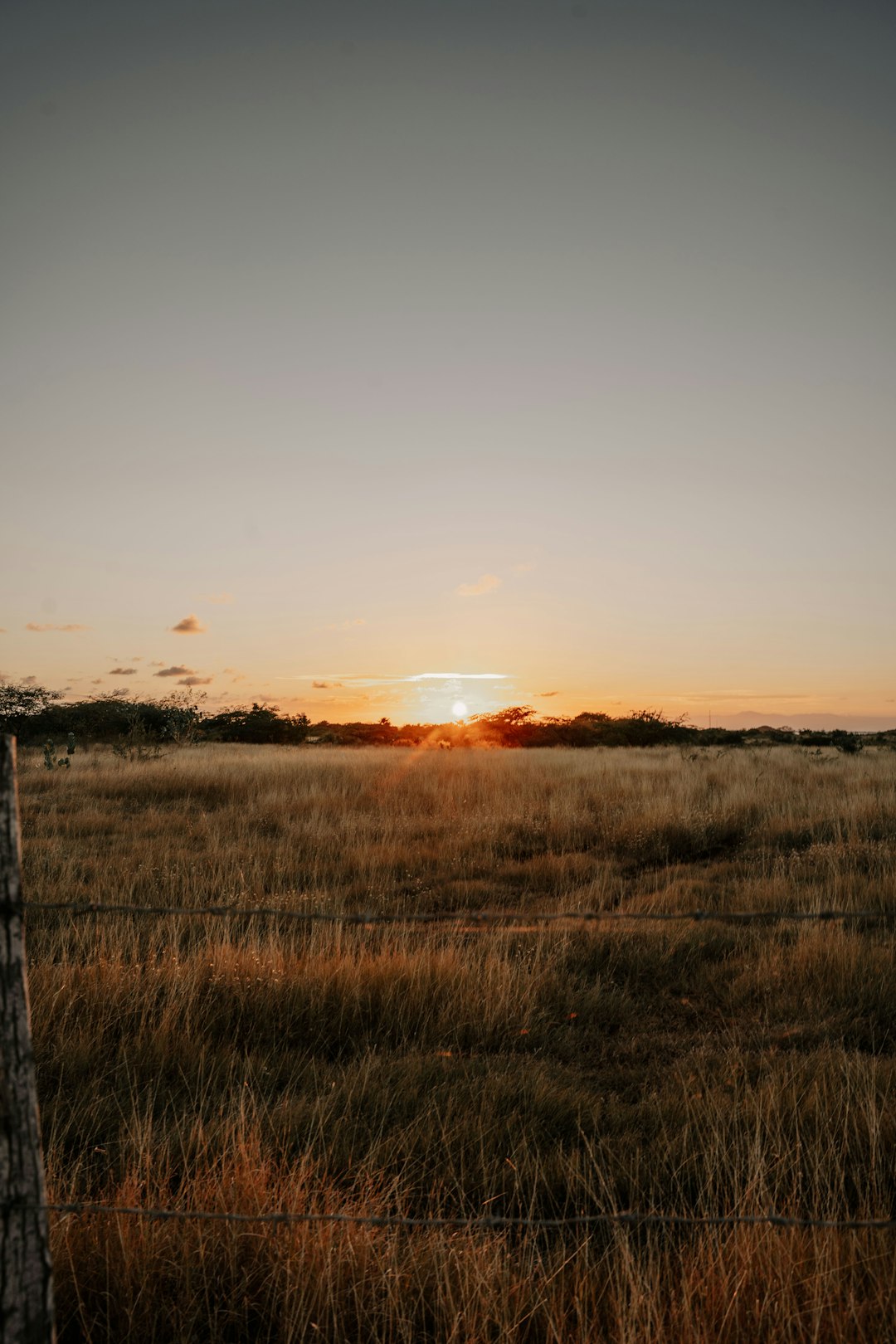 After the Sale: Managing Your Funds Post Land Sale.