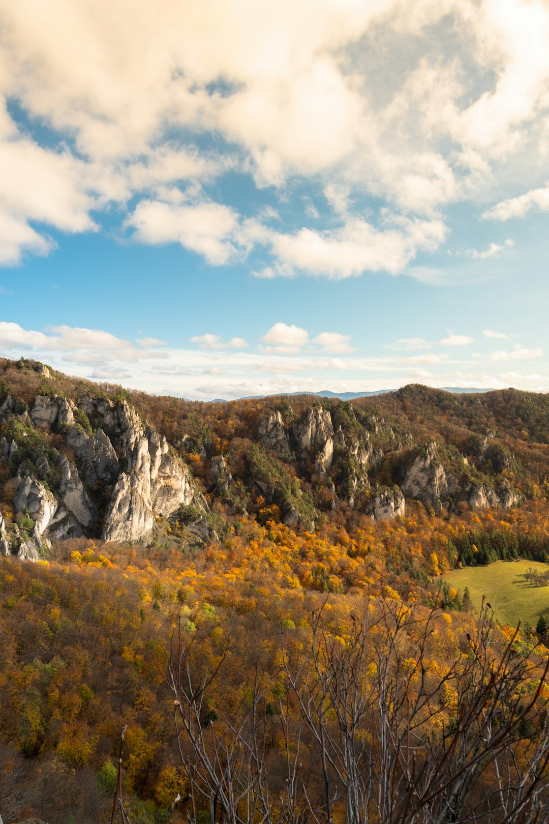 Optimizing Your Financial Investment: Ohio Land for Agriculture and Hunting