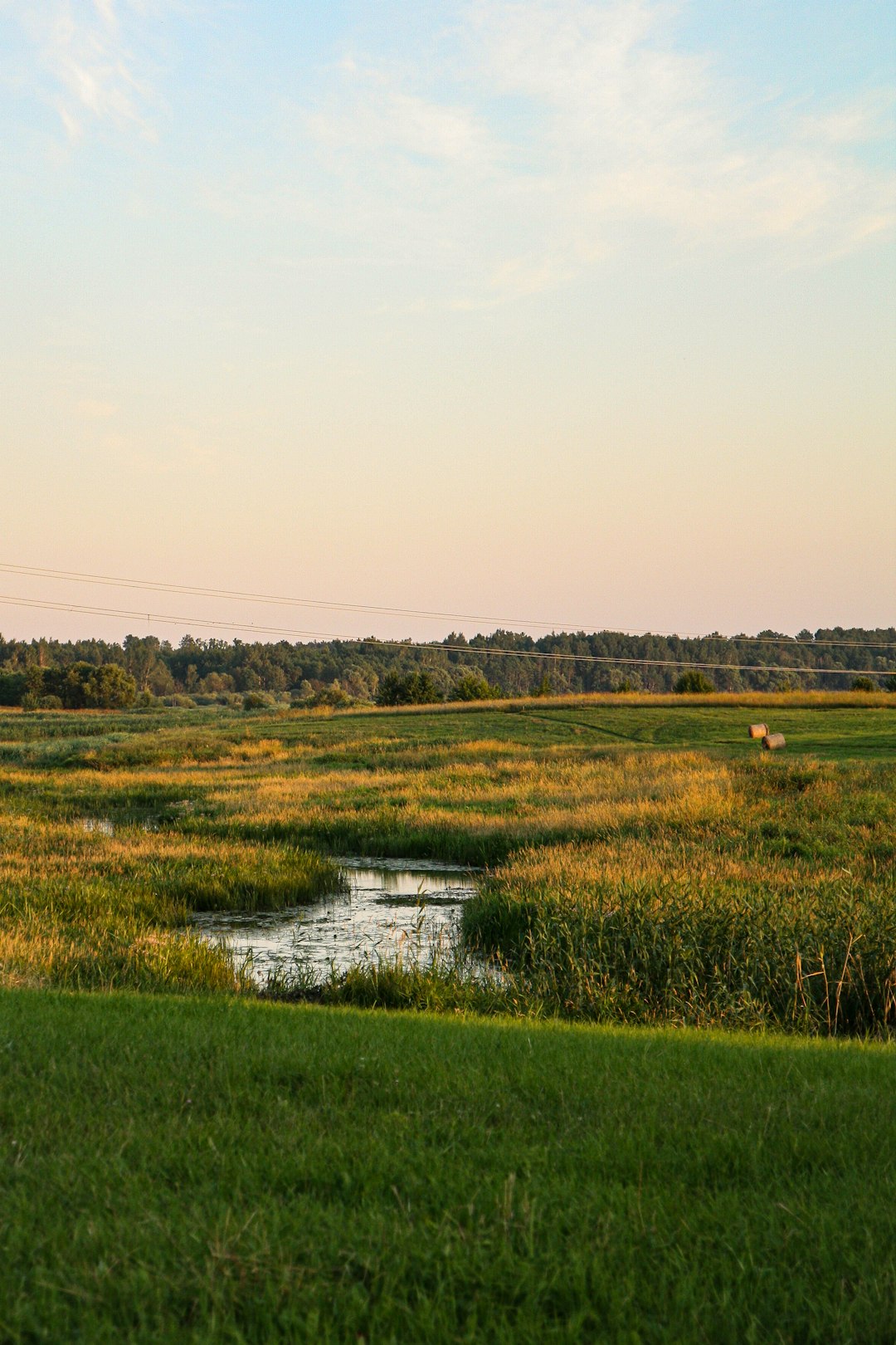 Maximizing Your Investment: Ohio Land for Farming and Searching