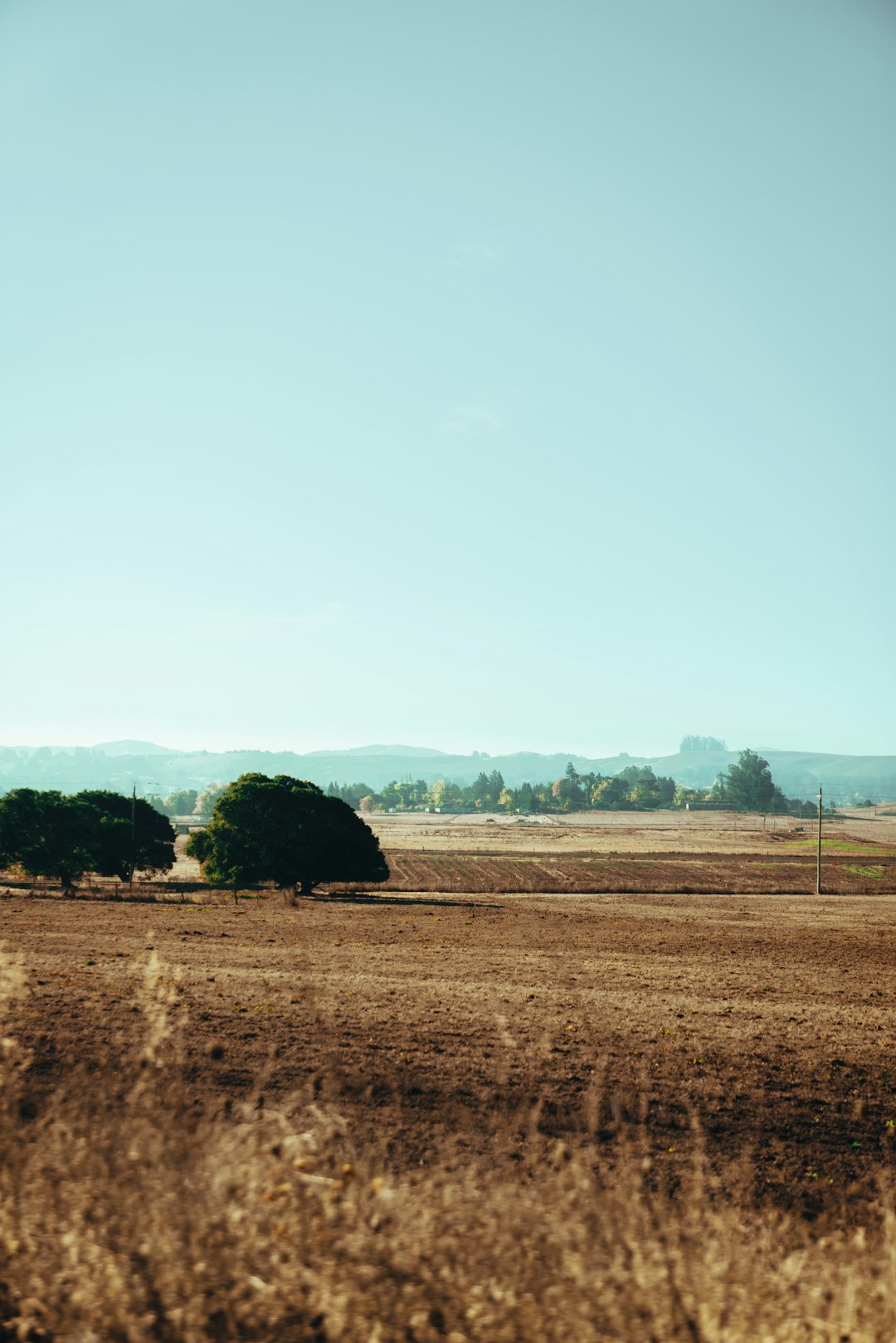 Maximizing Your Investment: Ohio Land for Farming and Hunting