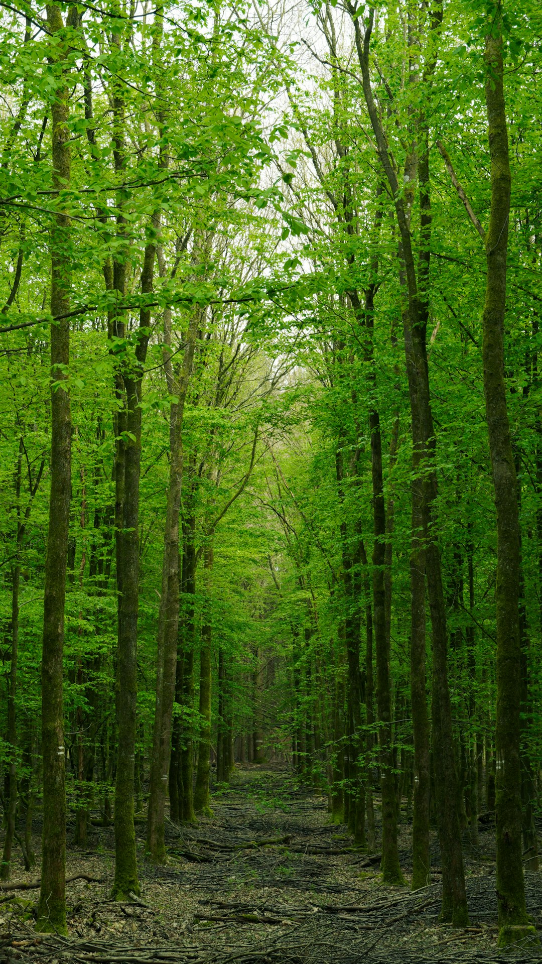 Land sale process in Ohio