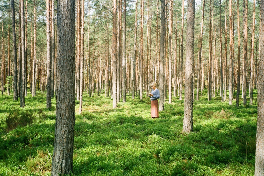 Surveying the property