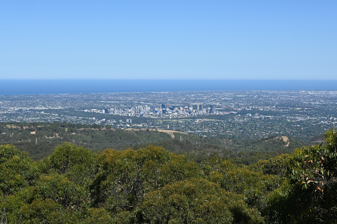 Staging undeveloped land