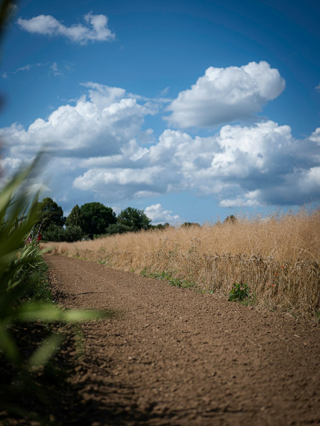 Selling process for Idaho land