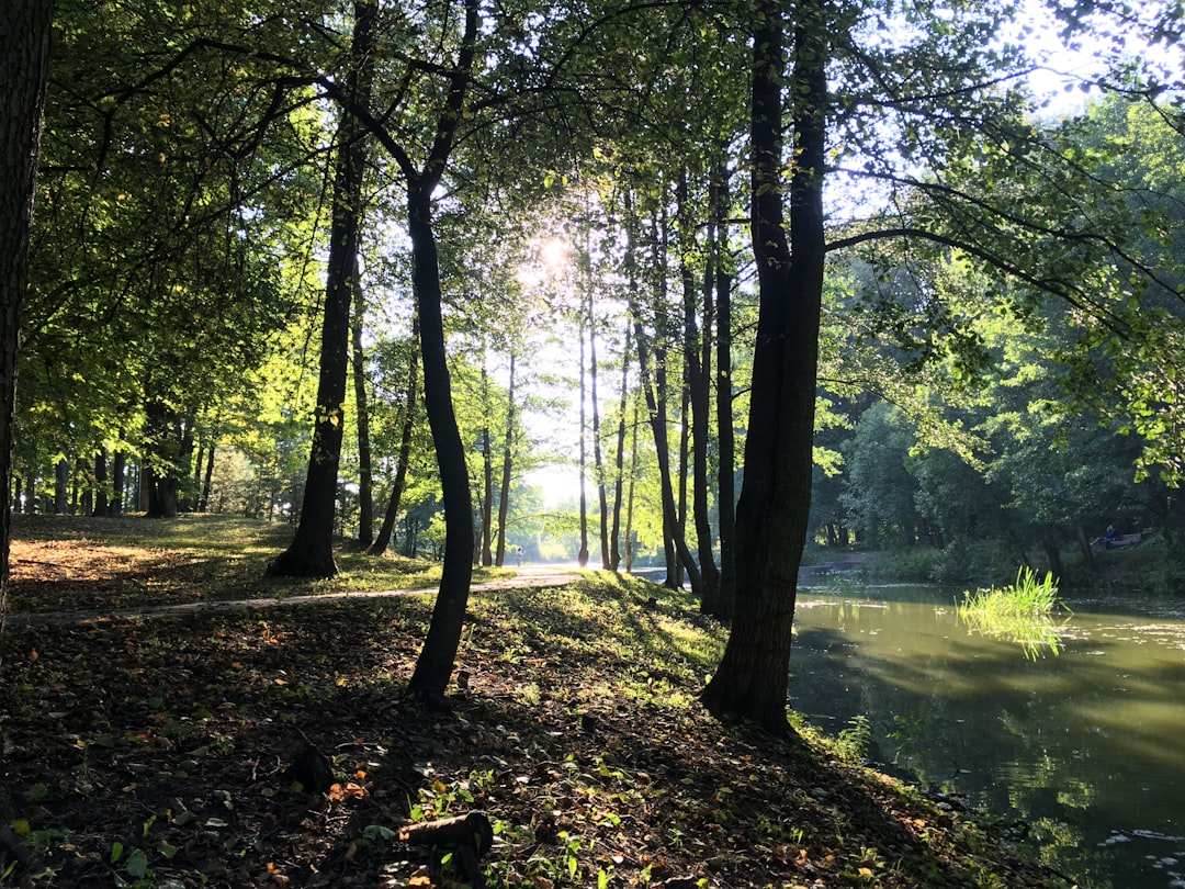 Preparation for the Future: Sustainable Practices in Land Financial Investment