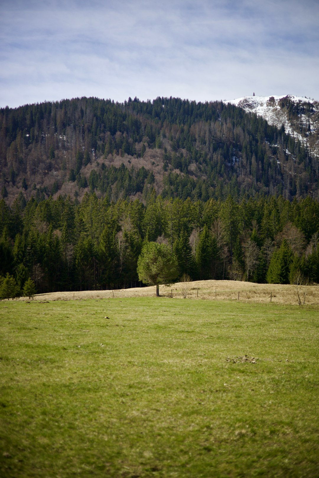 Market demand in Wyoming