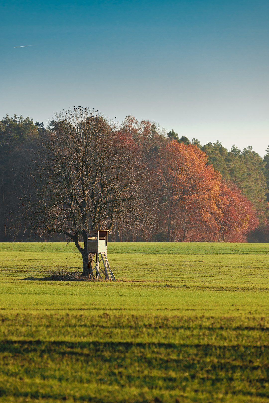 Preparing Your Country Home available