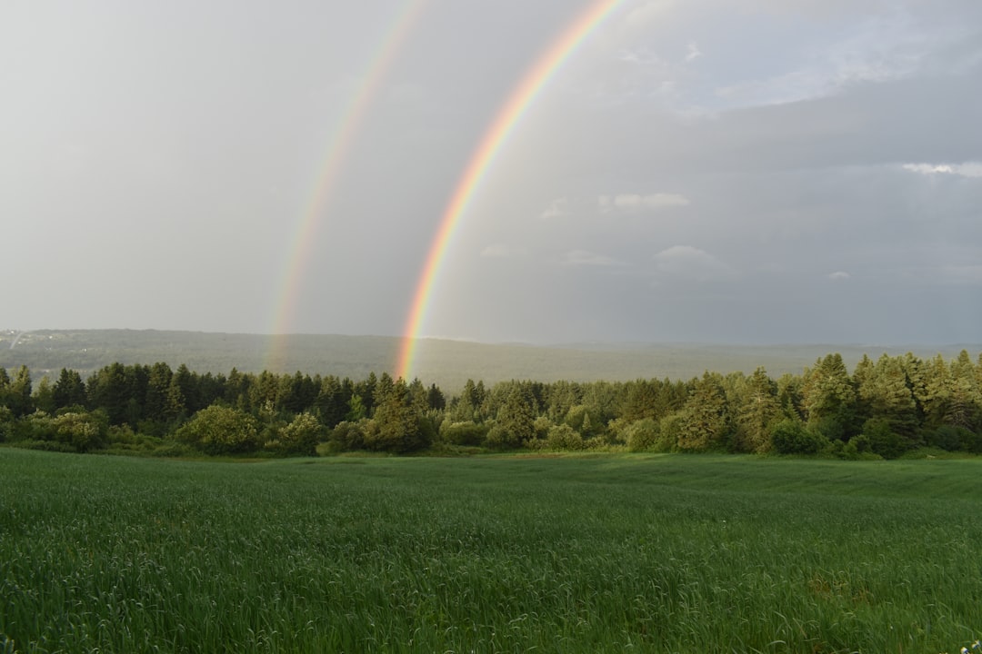 Montana land buyer