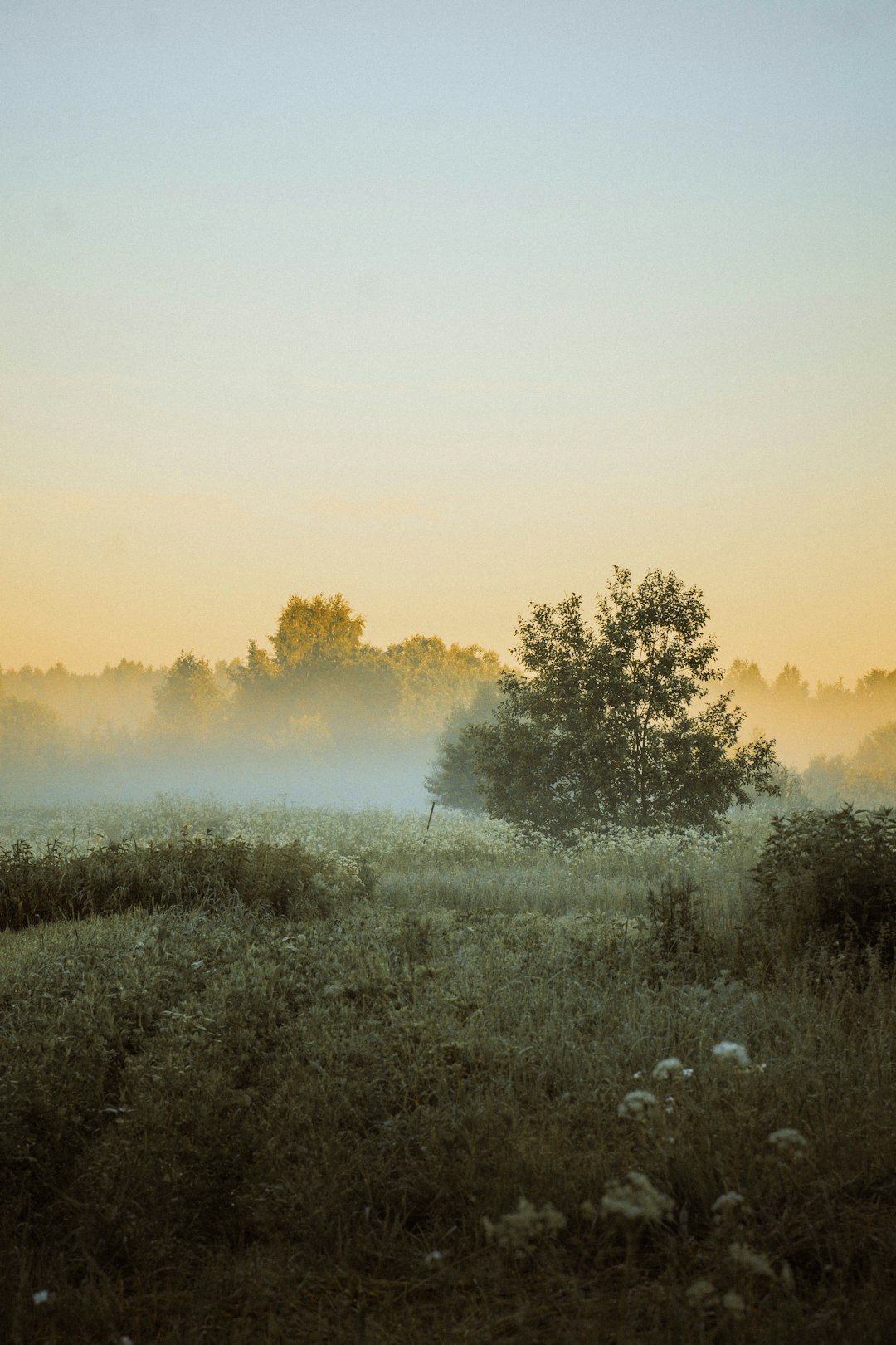 Just How to Price Indiana Land for a Cash Money Sale