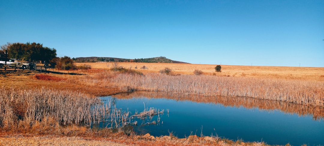 What is the Fastest Way to Sell Your Minnesota Land for Cash?  