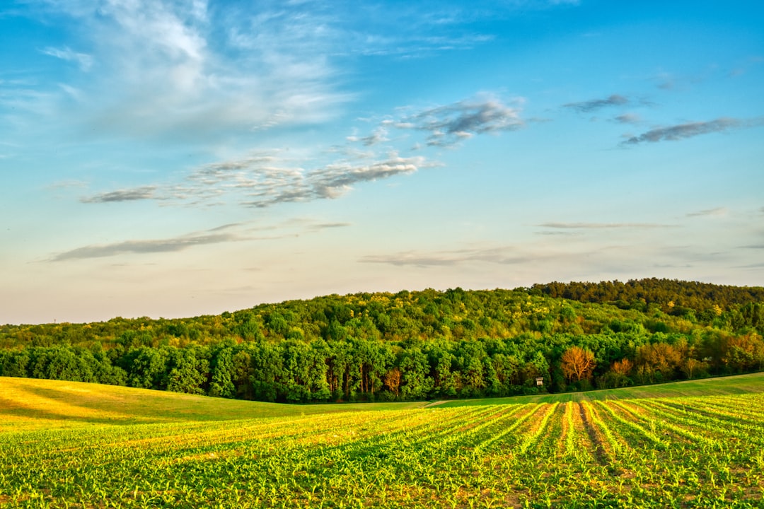 What is the Process for Selling West Virginia Land for Cash?