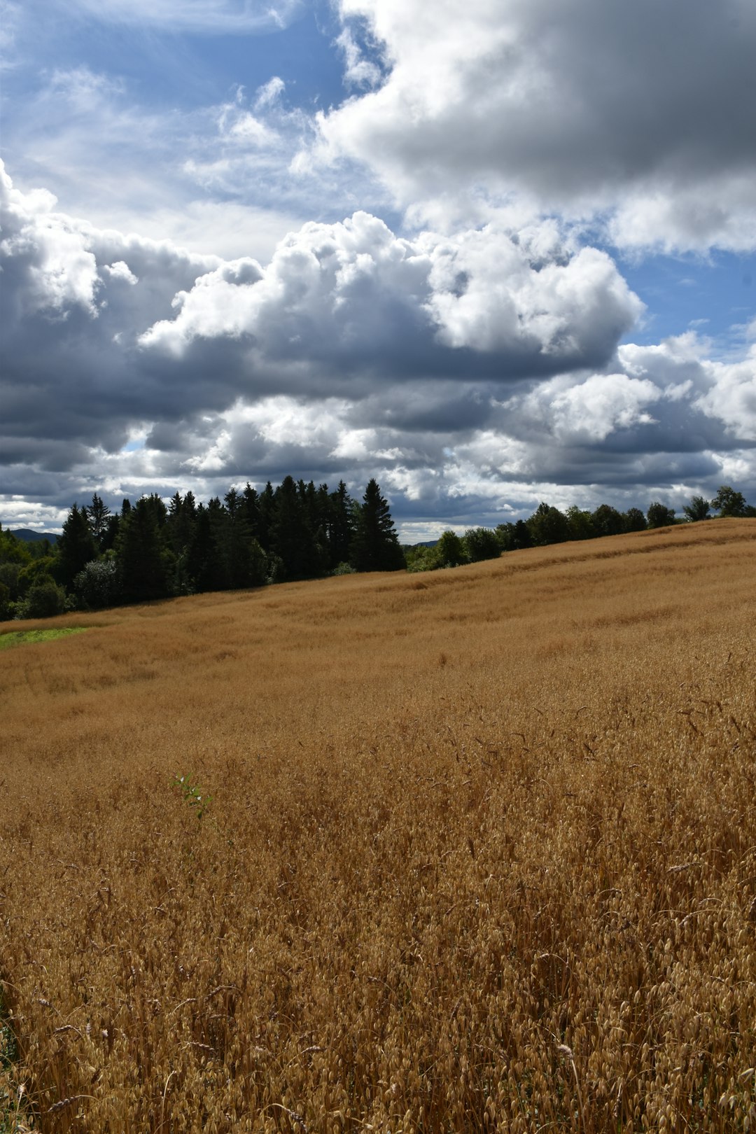 The Closing Process for Maryland Land