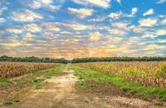 Idaho land for permaculture