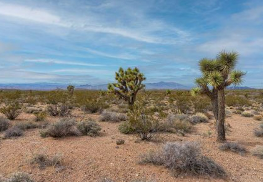 Idaho land for geothermal development