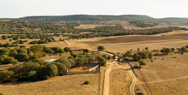 Selling land stress-free