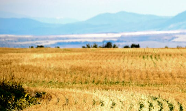 Selling rural land in Idaho