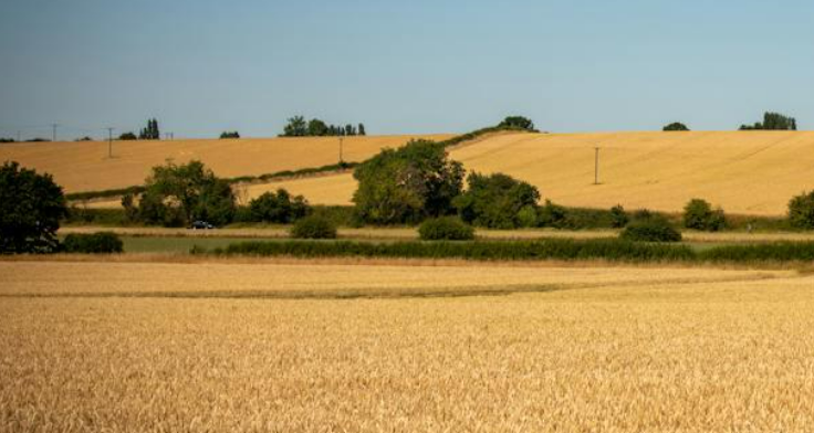 Taxes on selling land in Alaska