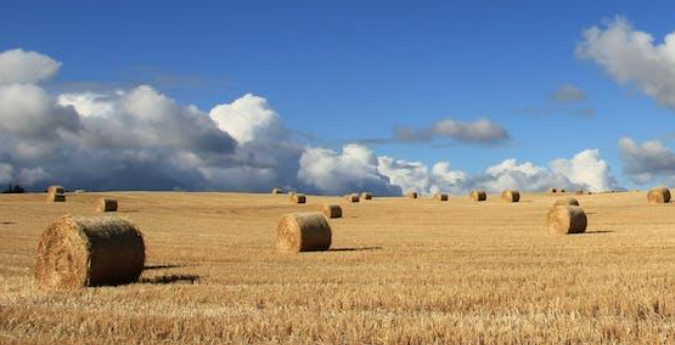 Cash for Idaho organic land