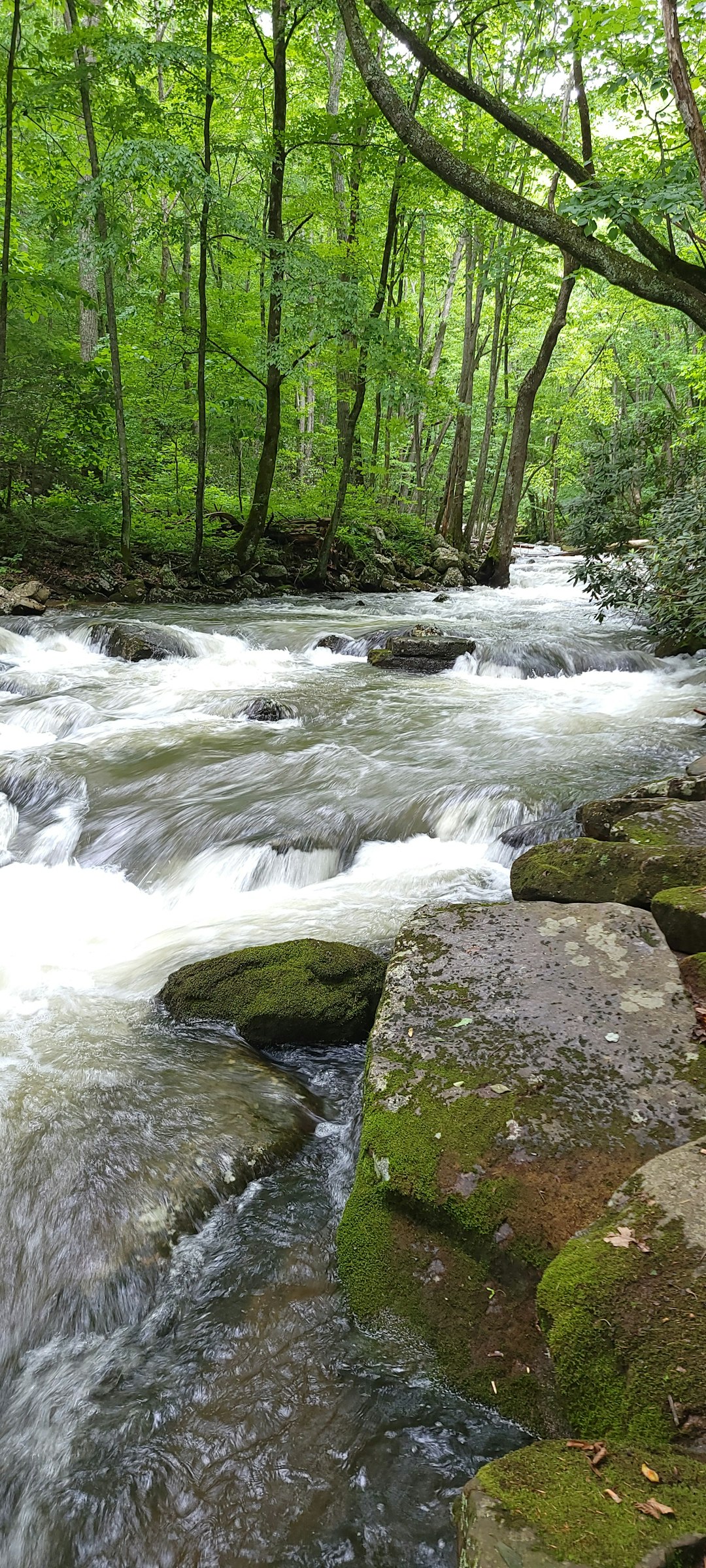 Sell land for cash in West Virginia